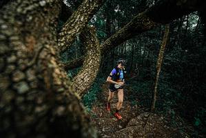 BIB: 
                            <button type="button" onclick="openModal(25695088)" class="btn btn-primary btn-sm float-right btn-popup" data-toggle="modal" data-target=".modal-high-quality">
                        <i class="fas fa-shopping-cart"></i> Add to Cart
                    </button>
                                            <button type="button" onclick="isThisMe(25695088, true)" class="btn btn-success btn-sm float-right btn-popup btn-isme hidden" data-toggle="tooltip" data-placement="bottom" title="นี่คือรูปของคุณใช่ไหม คลิกที่นี่เพื่อเอาเข้าอัลบั้ม">
                        <i class="fas fa-plus"></i> Add to album
                    </button>
                    <button type="button" onclick="isThisMe(25695088, false)" class="btn btn-warning btn-sm float-right btn-popup btn-isnotme hidden">
                        <i class="fas fa-ban"></i> Remove from album
                    </button>